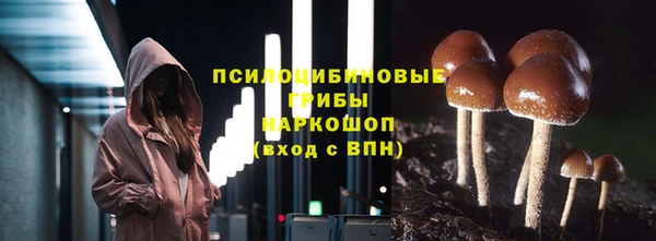 дмт Вяземский