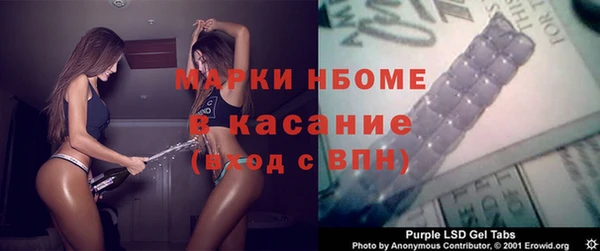 индика Вязьма
