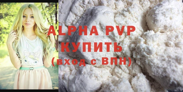 индика Вязьма