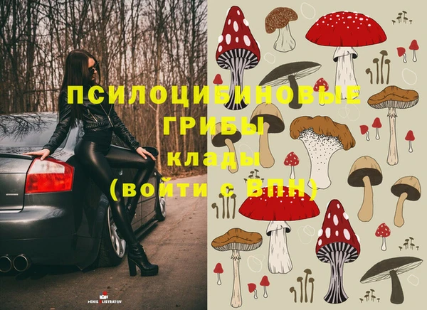 эйфоретик Вязники