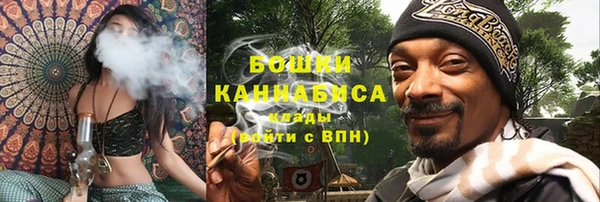 индика Вязьма