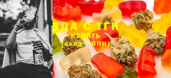 индика Вязьма