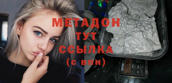 индика Вязьма