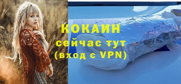 дмт Вяземский
