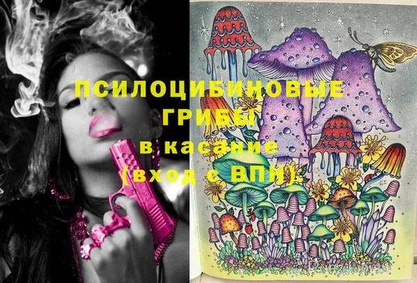 индика Вязьма