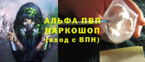 дмт Вяземский