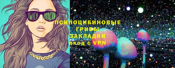 индика Вязьма
